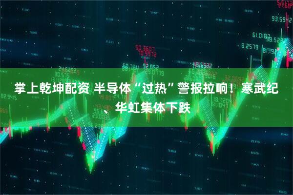 掌上乾坤配资 半导体“过热”警报拉响！寒武纪、华虹集体下跌